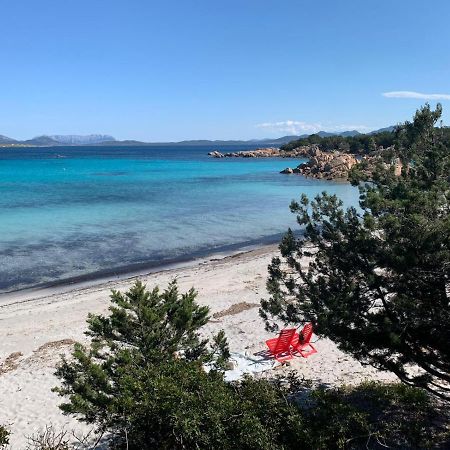 Appartamento Porto Rotondo Rudargia Екстер'єр фото